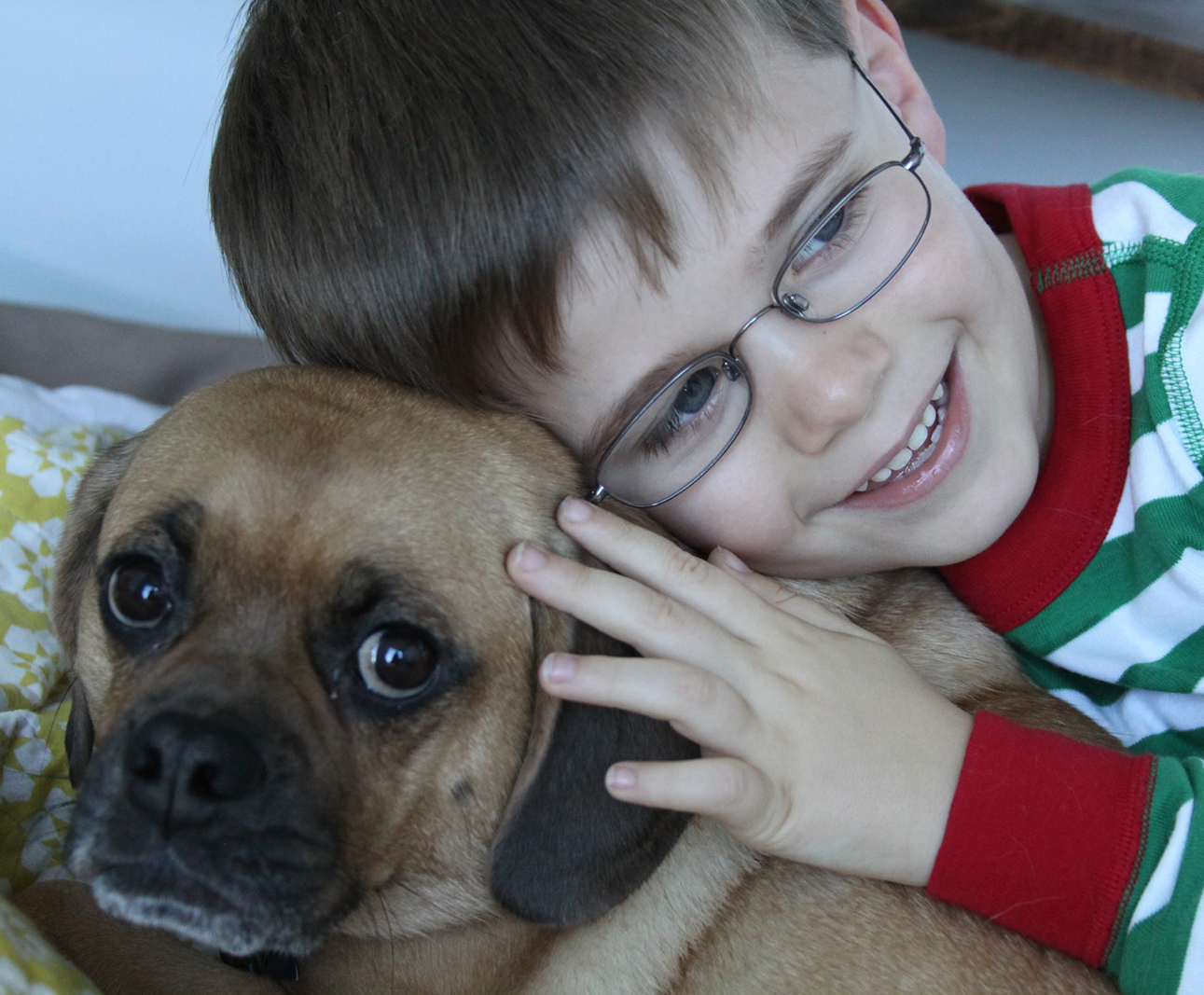 Love of Dogs